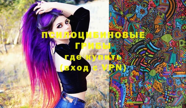 эйфоретик Шадринск