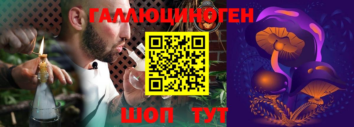 Ногинск  Псилоцибиновые грибы GOLDEN TEACHER  Вход с VPN 